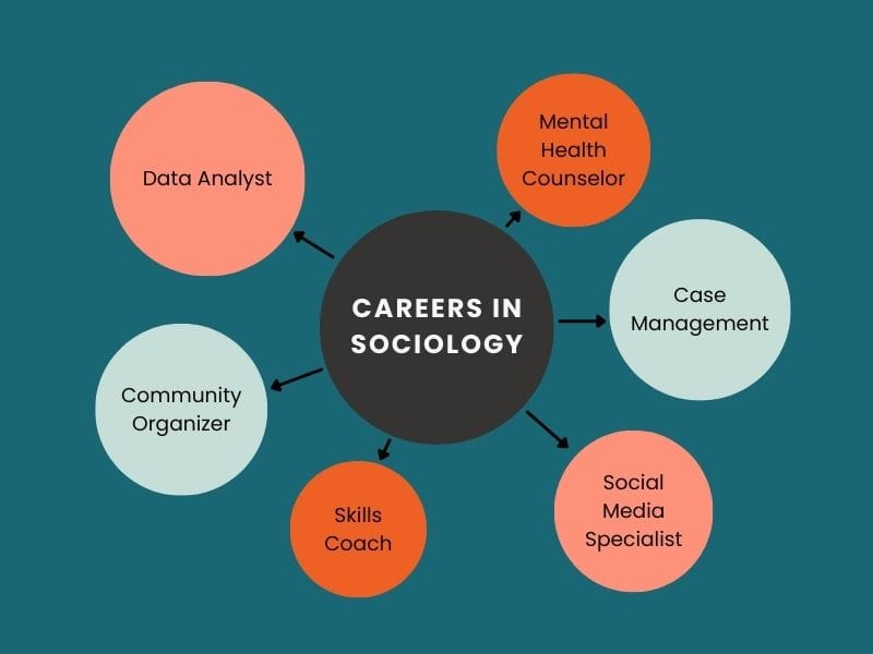 A diagram of careers in sociology. These careers include mental health counselor, case management, social media specialist, skills coach, community organizer, and data analyst.